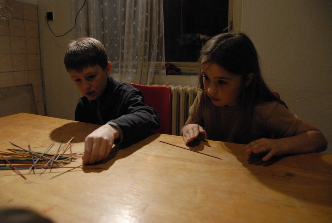 034 Expedice GEMINI 2010